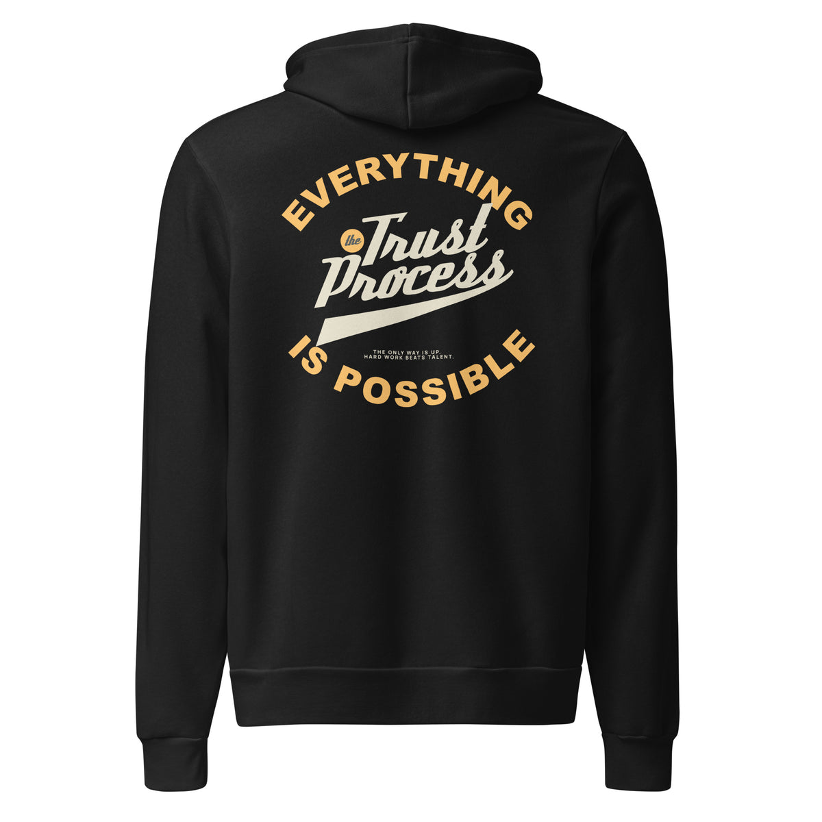 A black pullover hoodie shown from the back, featuring a large graphic print in gold and white that reads 'EVERYTHING Trust Process IS POSSIBLE' on a plain white background.