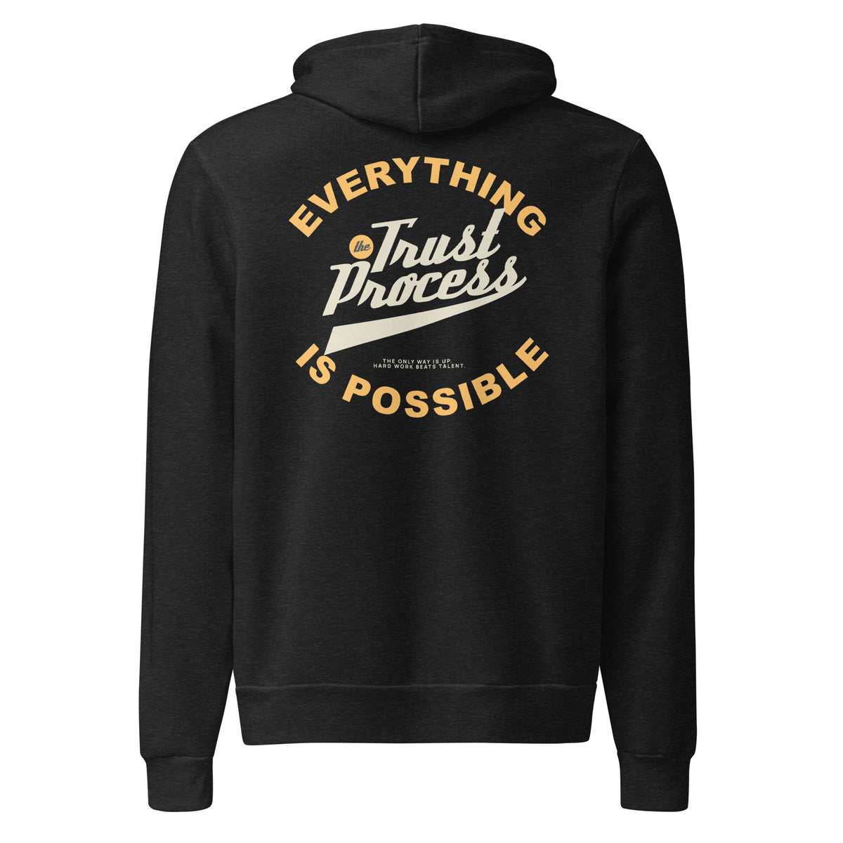 A black pullover hoodie shown from the back, featuring a large graphic print with the words 'EVERYTHING Trust Process IS POSSIBLE' in gold and white lettering.
